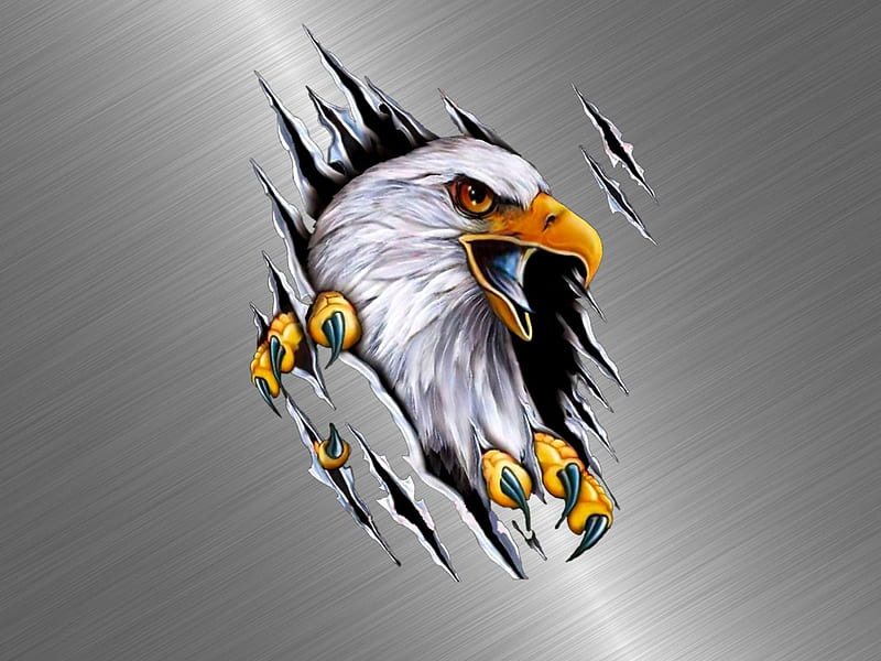 Hình ảnh của Eagles 3D