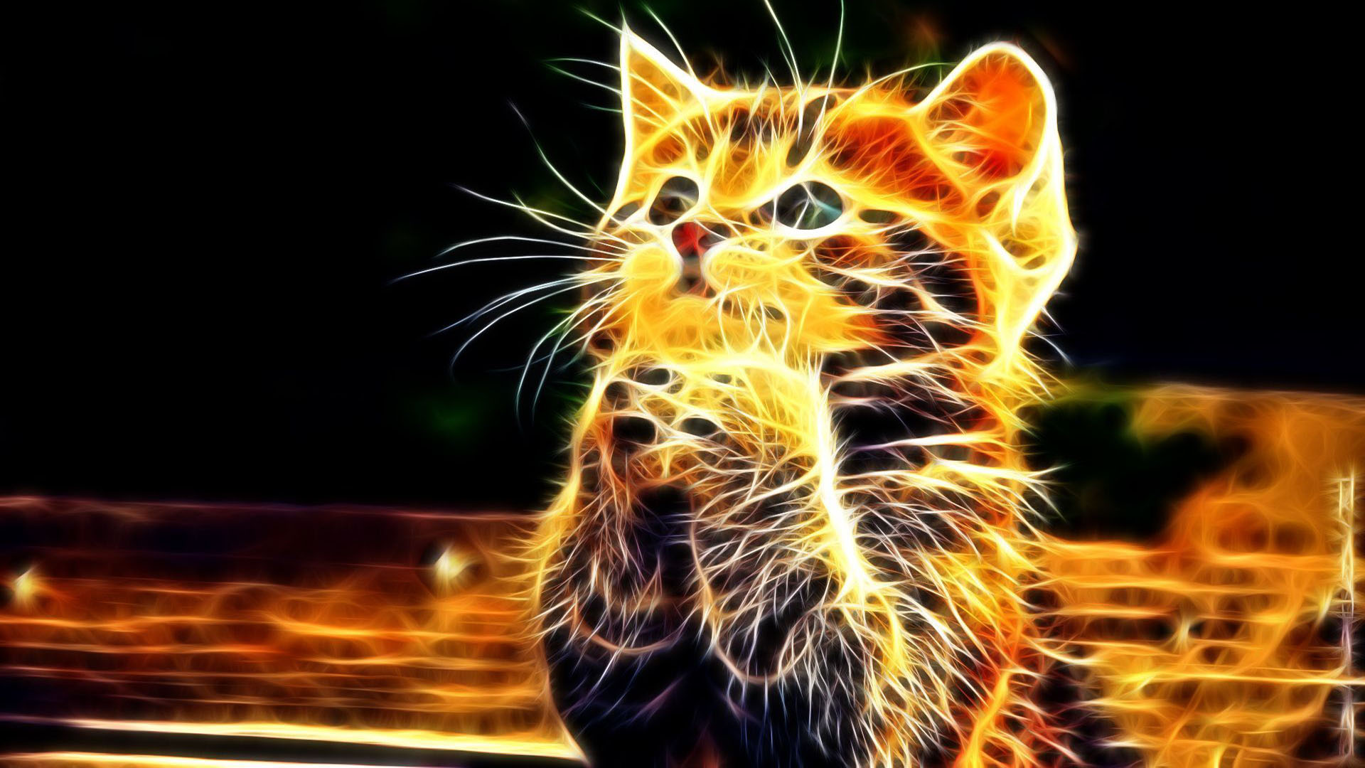 Hình nền mèo lửa 3D