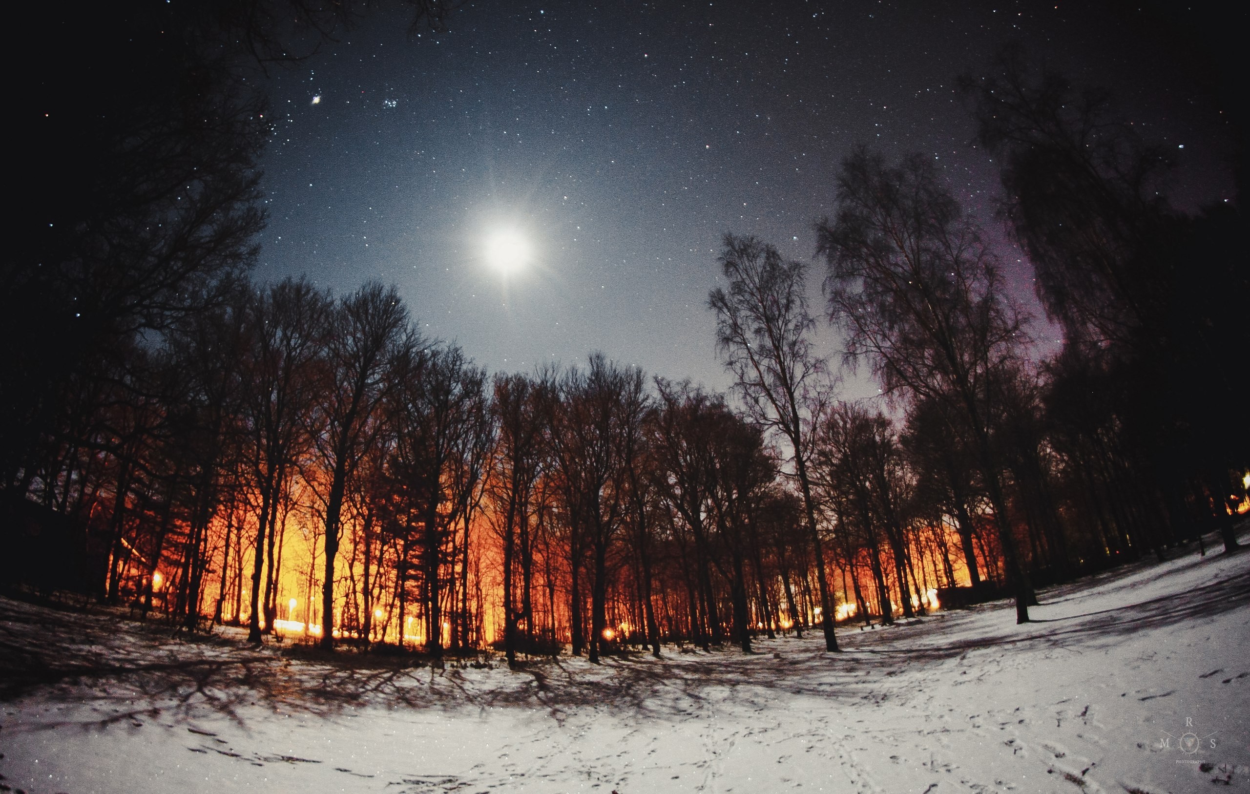 Ảnh đêm trong rừng tuyết đẹp