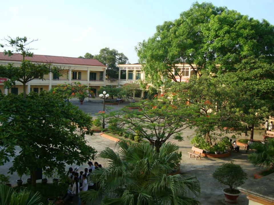Hình ảnh cây phượng ở sân trường THPT Quang Trung