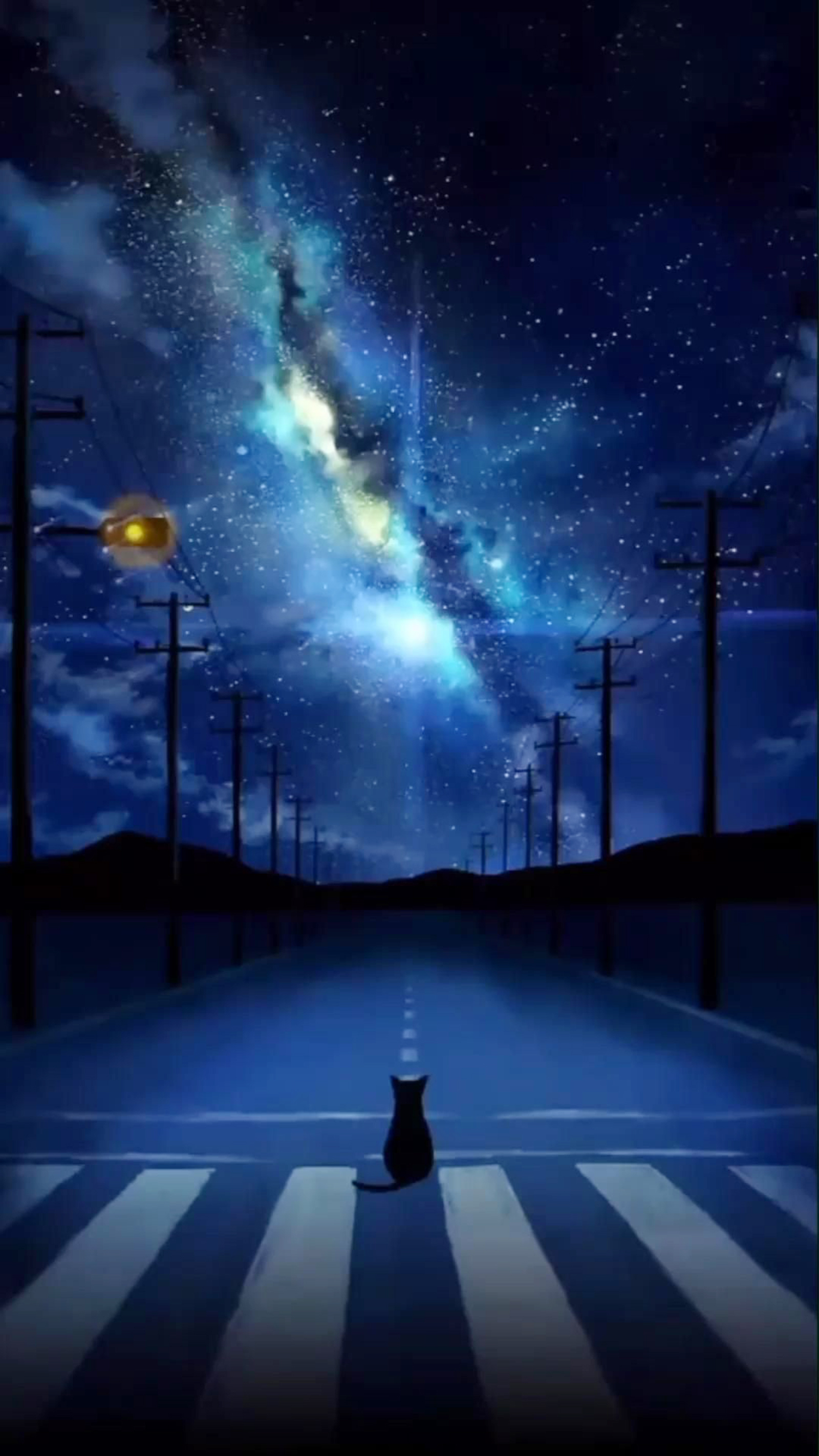 Hình nền bầu trời đêm cho điện thoại