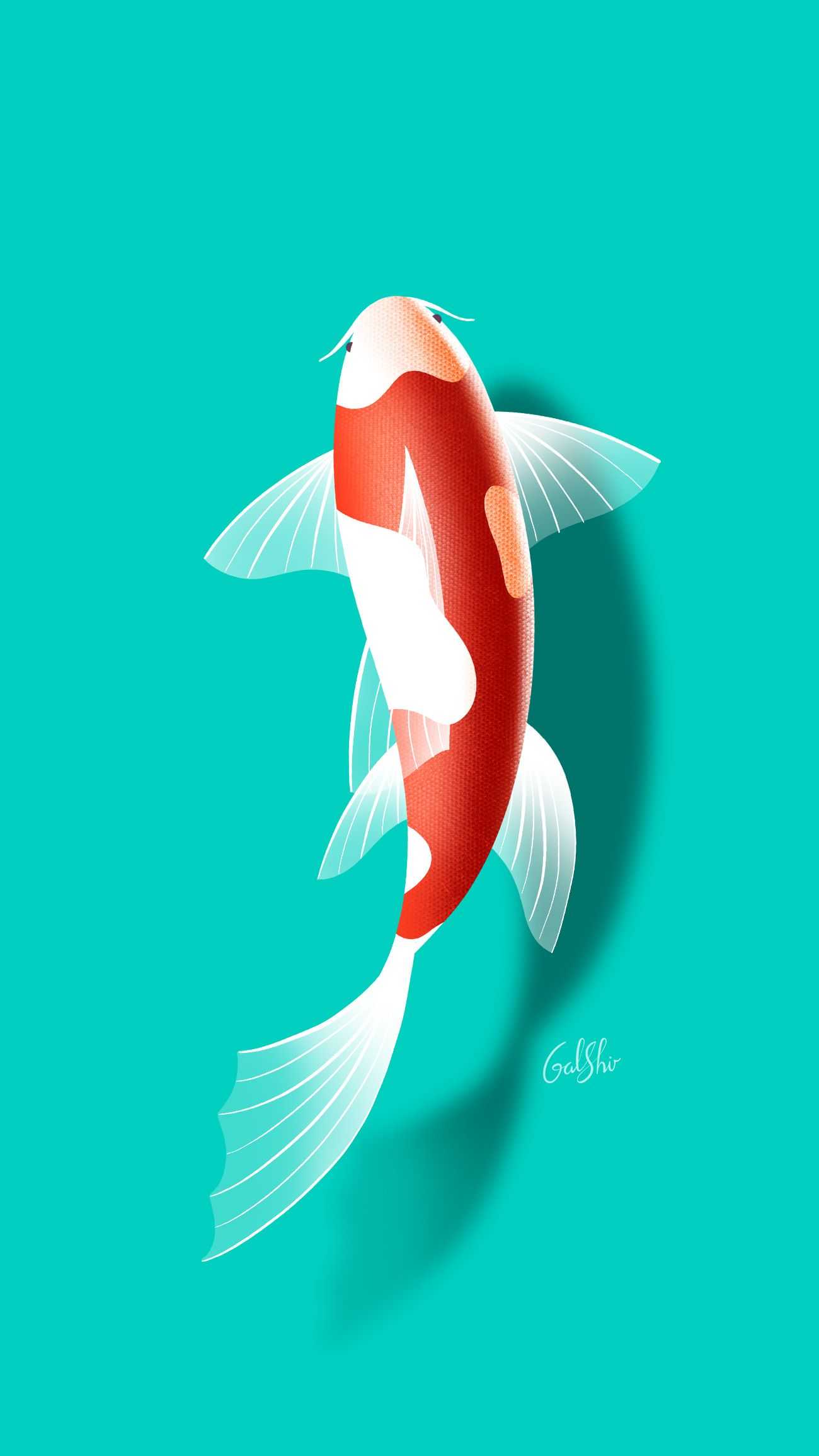 Koi Fish iPhone Wallpaper