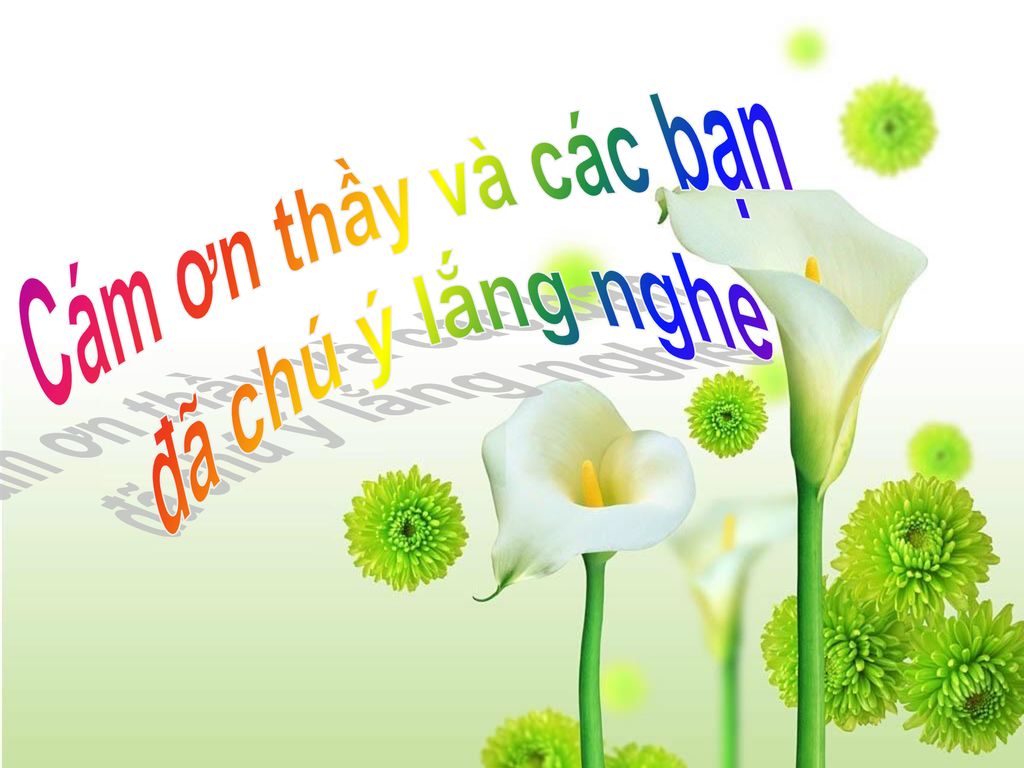 Xin mời các bạn thưởng thức những bức hình ảnh tuyệt đẹp về thông điệp đầy ý nghĩa này: \