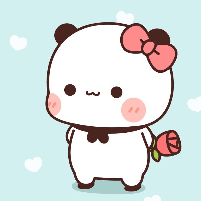 Top 99 về avatar cute gấu  damrieduvn