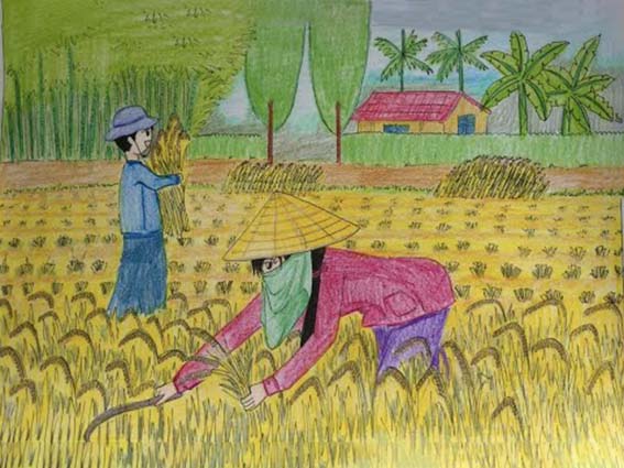 Bức tranh vẽ hoạt động gặt lúa