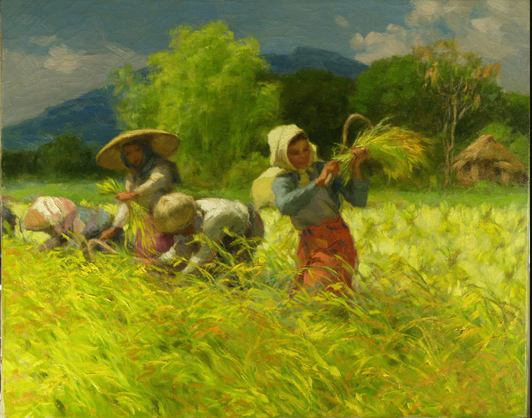 Bức giành giật vẽ người dân lên đường gặt lúa nện dầu