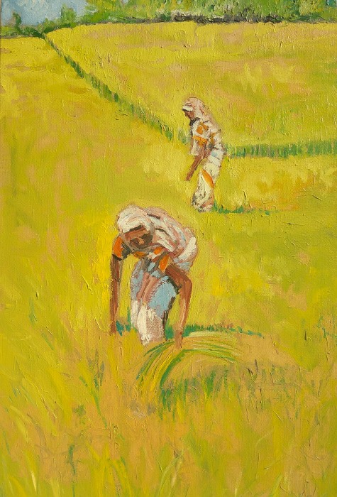 Bức tranh vẽ nông dân gặt lúa đẹp