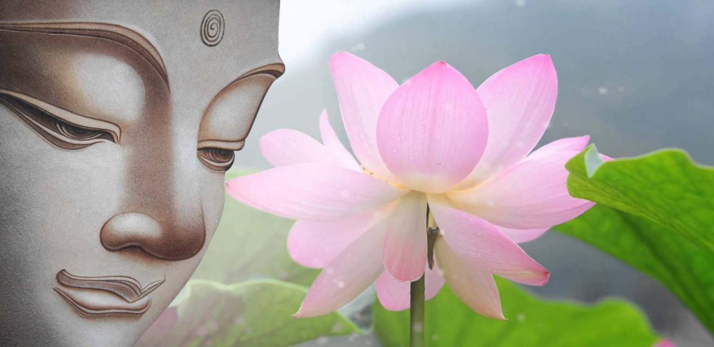 Hình hình họa hoa sen Phật giáo đẹp