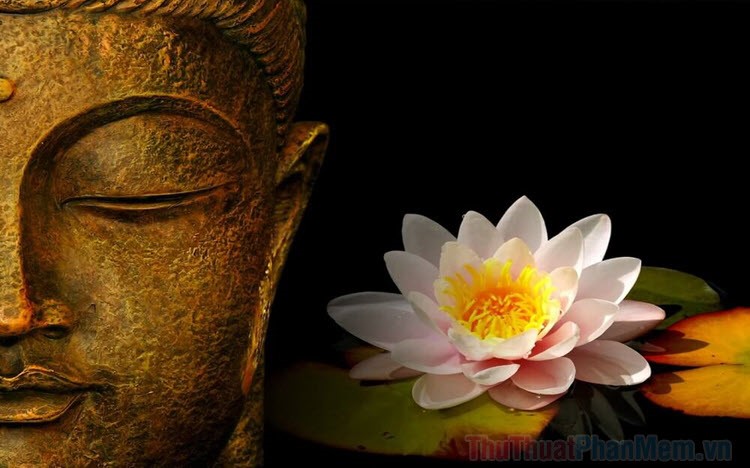 Hình hình họa hoa Sen nhập Phật Giáo đẹp