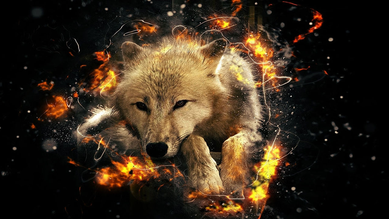 Hình nền sói lửa cute