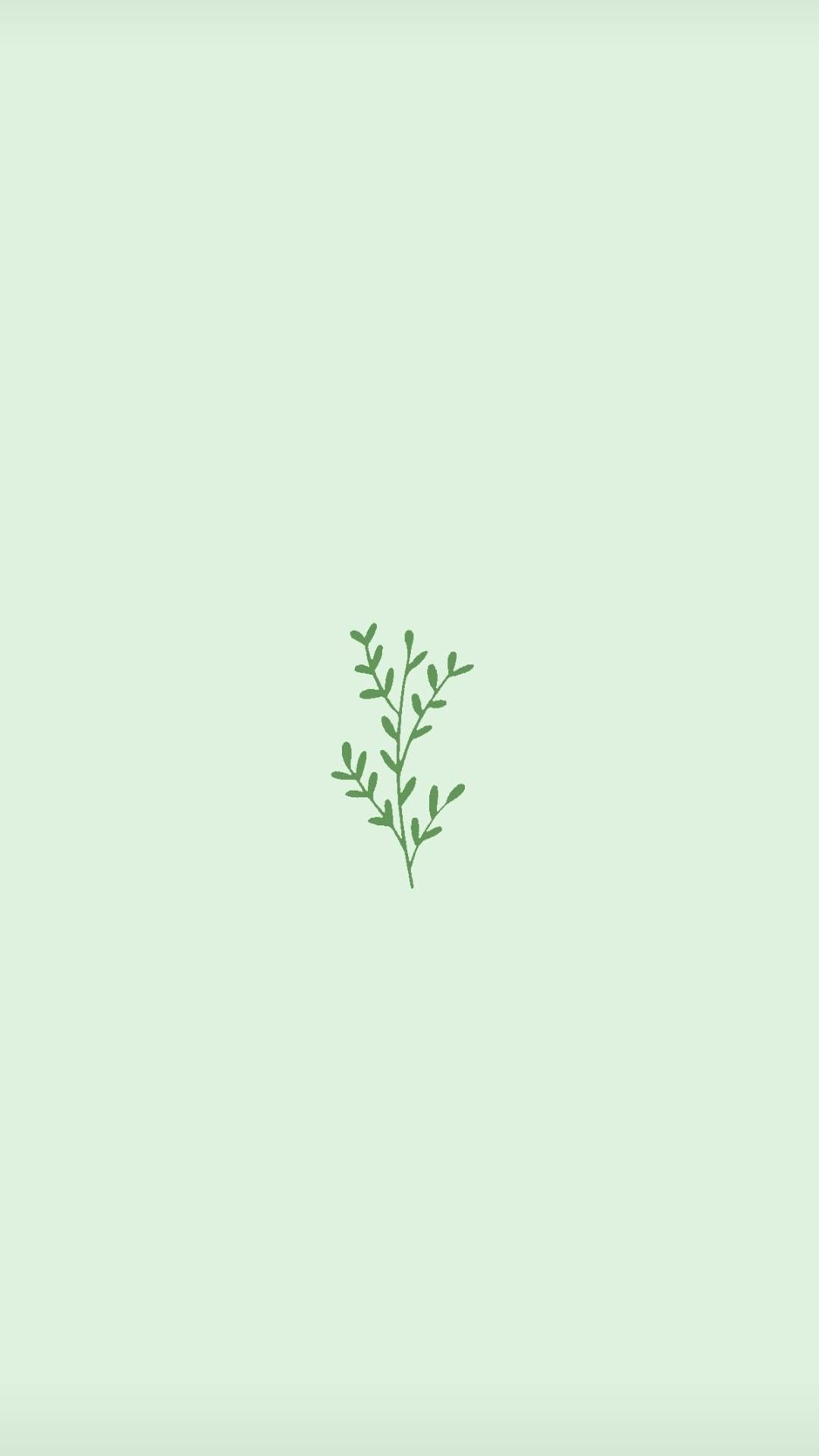 Hình Nền Nền Màu Xanh Lá Cây HD và Nền Cờ đẹp màu xanh lá cây tươi đơn  giản để Tải Xuống Miễn Phí  Lovepik
