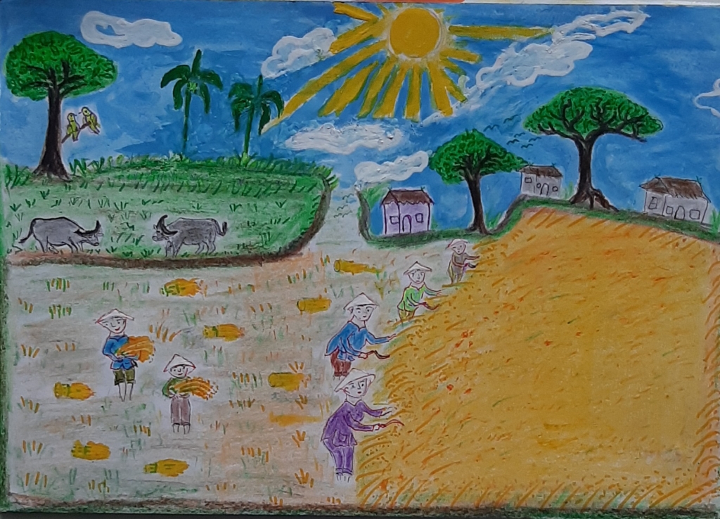 Mẫu tranh vẽ gặt lúa của học sinh