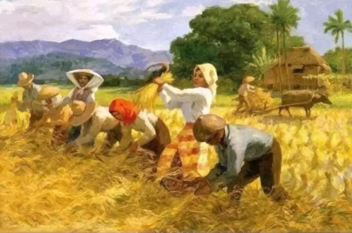 Mẫu tranh vẽ gặt lúa