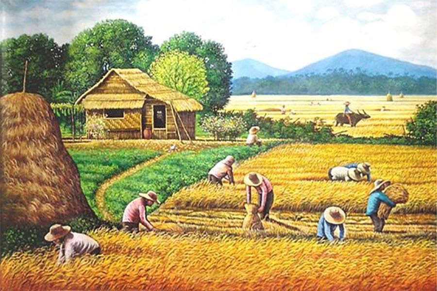 Tranh vẽ cảnh người dân gặt lúa
