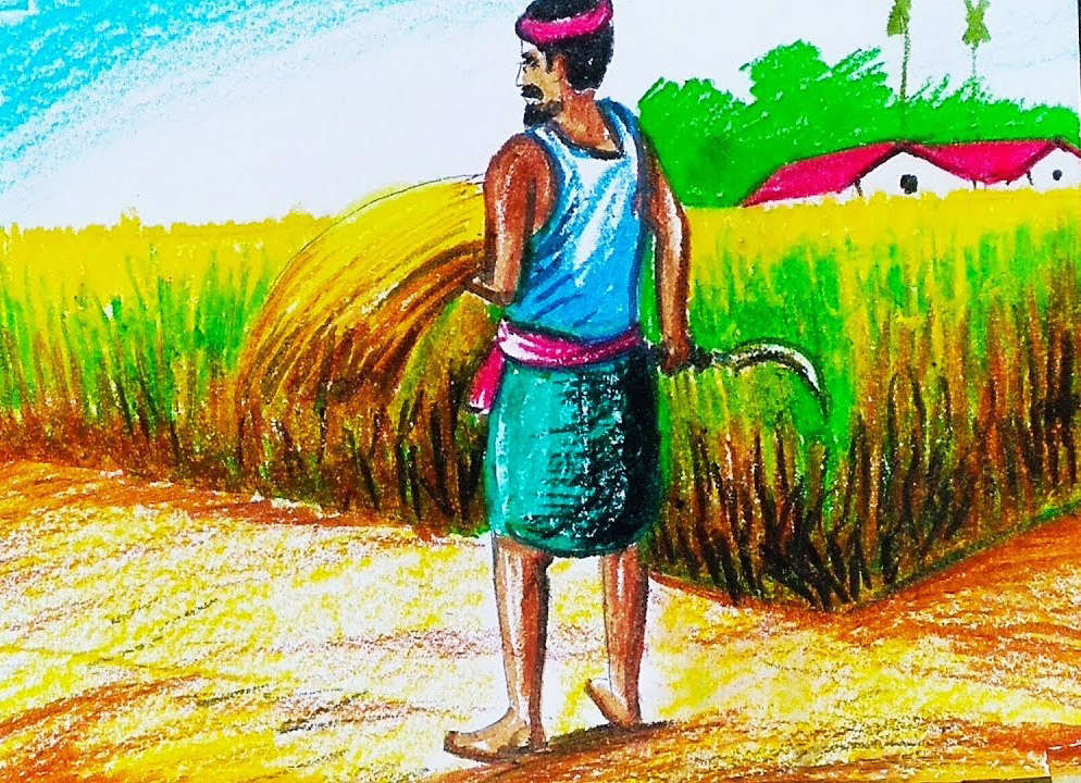 Tranh vẽ gặt lúa đẹp