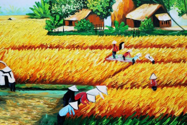 Tranh vẽ gặt lúa đơn giản đẹp