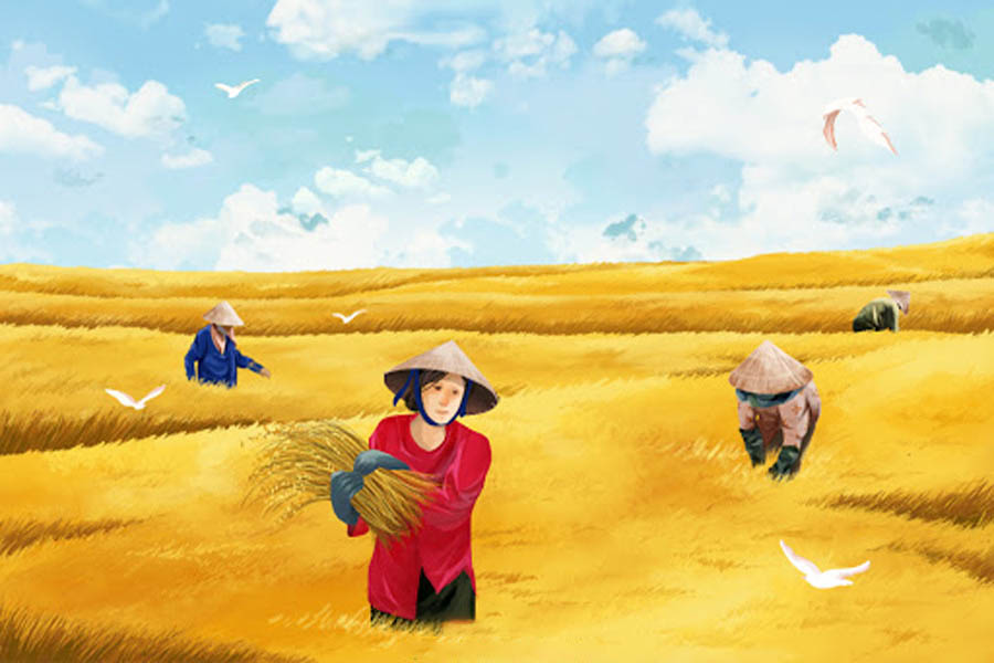 Tranh vẽ gặt lúa