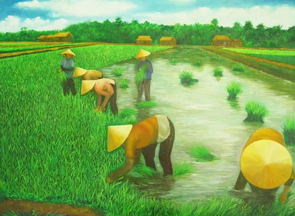 Tranh vẽ người dân chuồn gặt lúa rất đẹp nhất