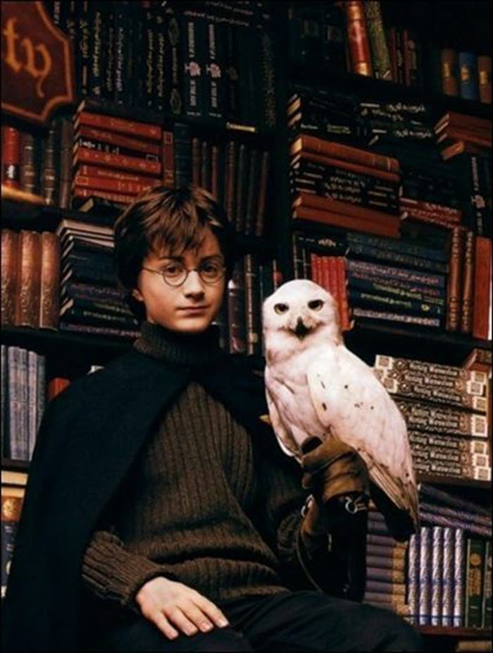 Ảnh Harry Potter cute cực đẹp