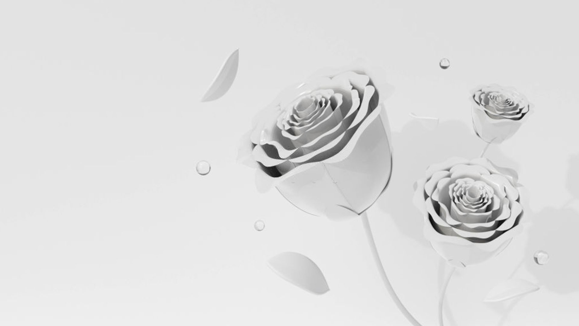 Ảnh nền hoa hồng 3D trắng