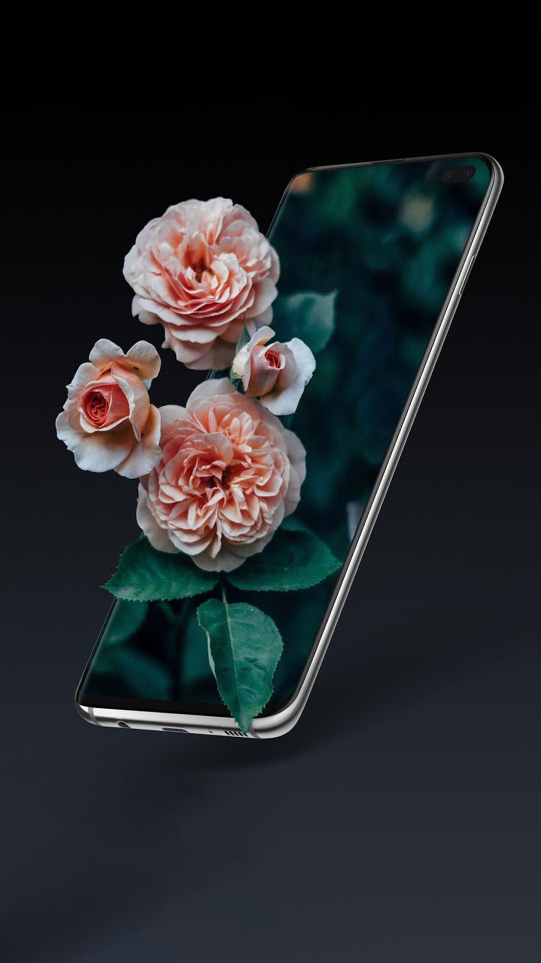 Hình nền hoa hồng 3D cho điện thoại