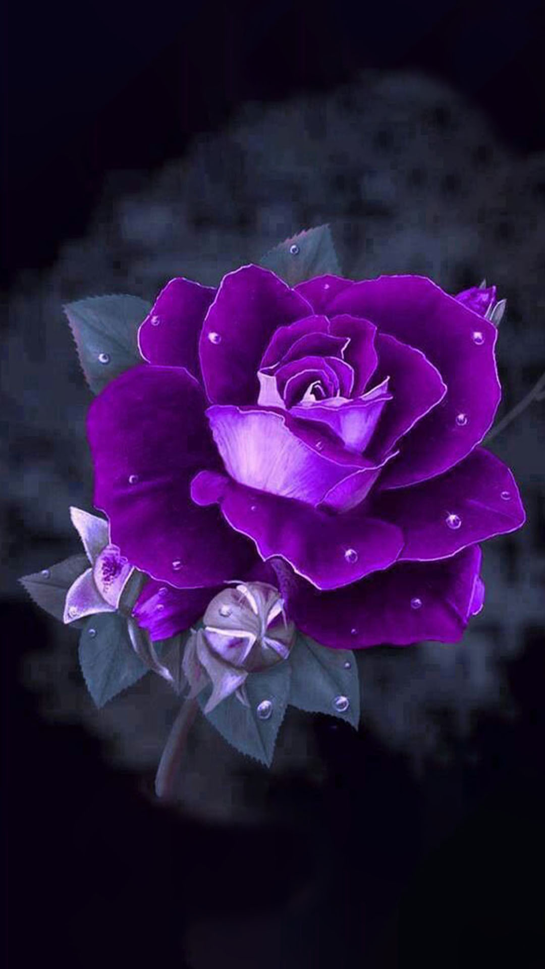 Hình nền hoa hồng 3D màu tím