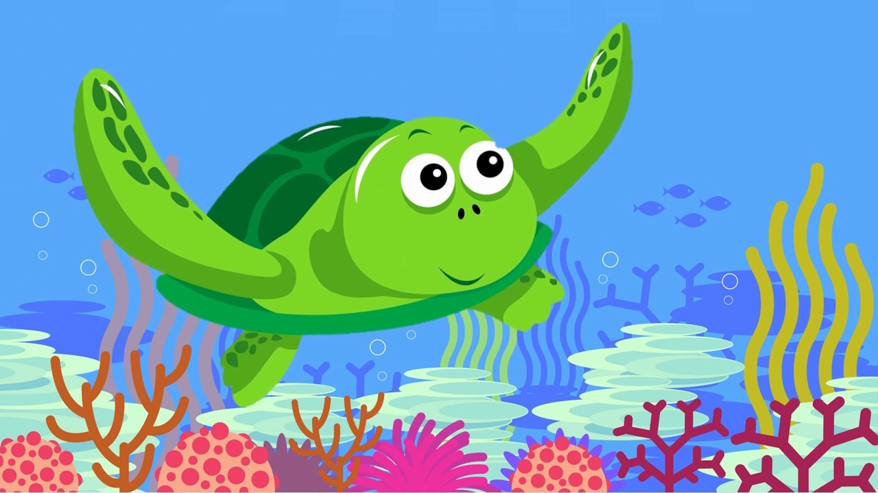 Hình ảnh con rùa biển cho trẻ nhận biết