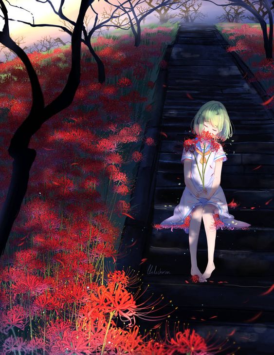 Hình ảnh hoa Bỉ Ngạn anime nữ buồn man mác đẹp