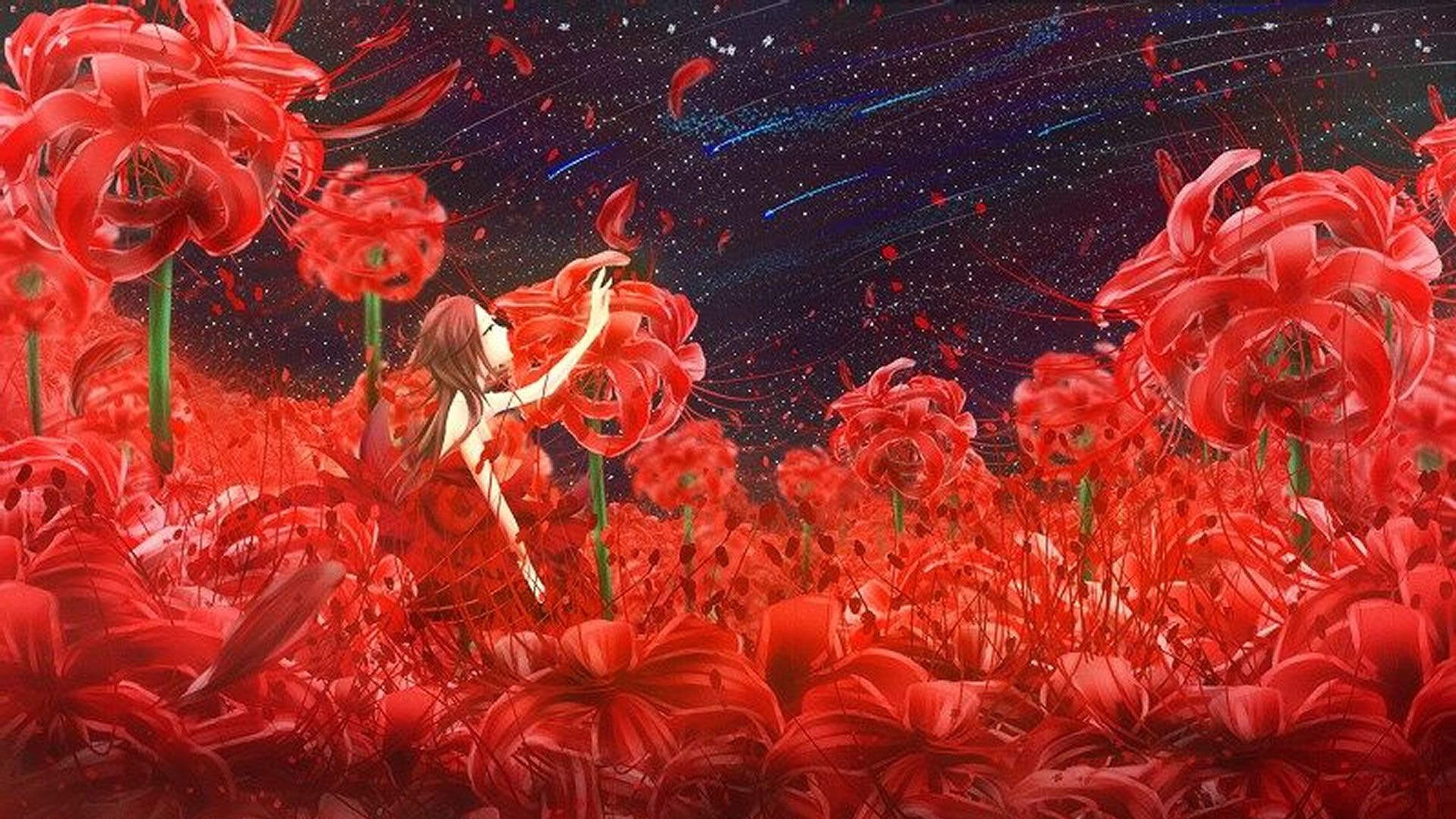 Hình nền hoa bỉ ngạn anime