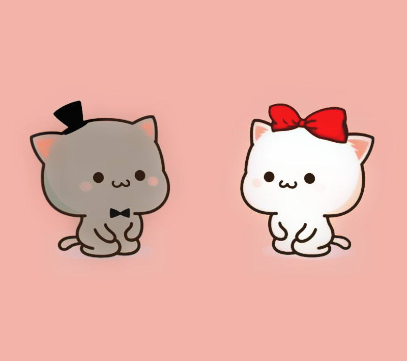 Tổng hợp hơn 52 về anime chibi cute hình nền mèo chibi mới nhất -  cdgdbentre.edu.vn
