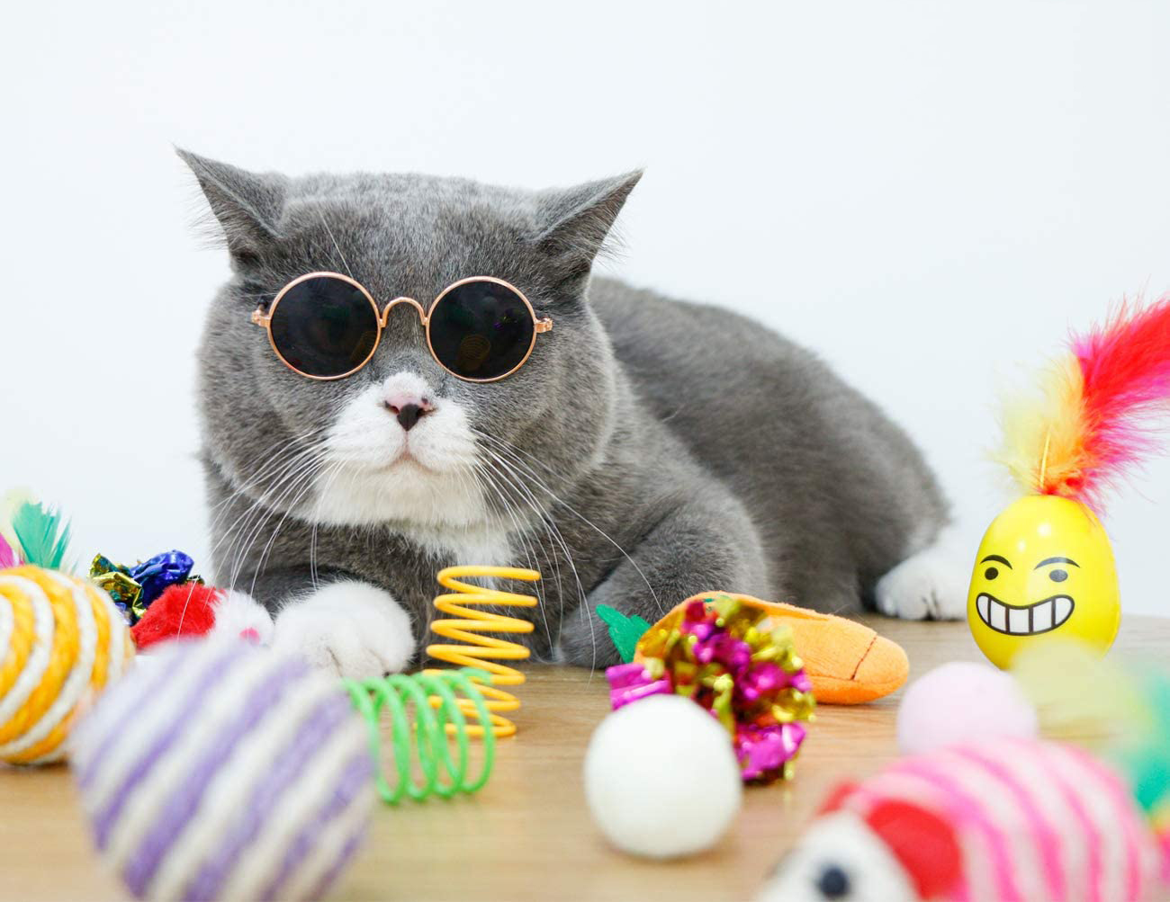 Hình ảnh con mèo dễ thương và tươi tắn đeo kính