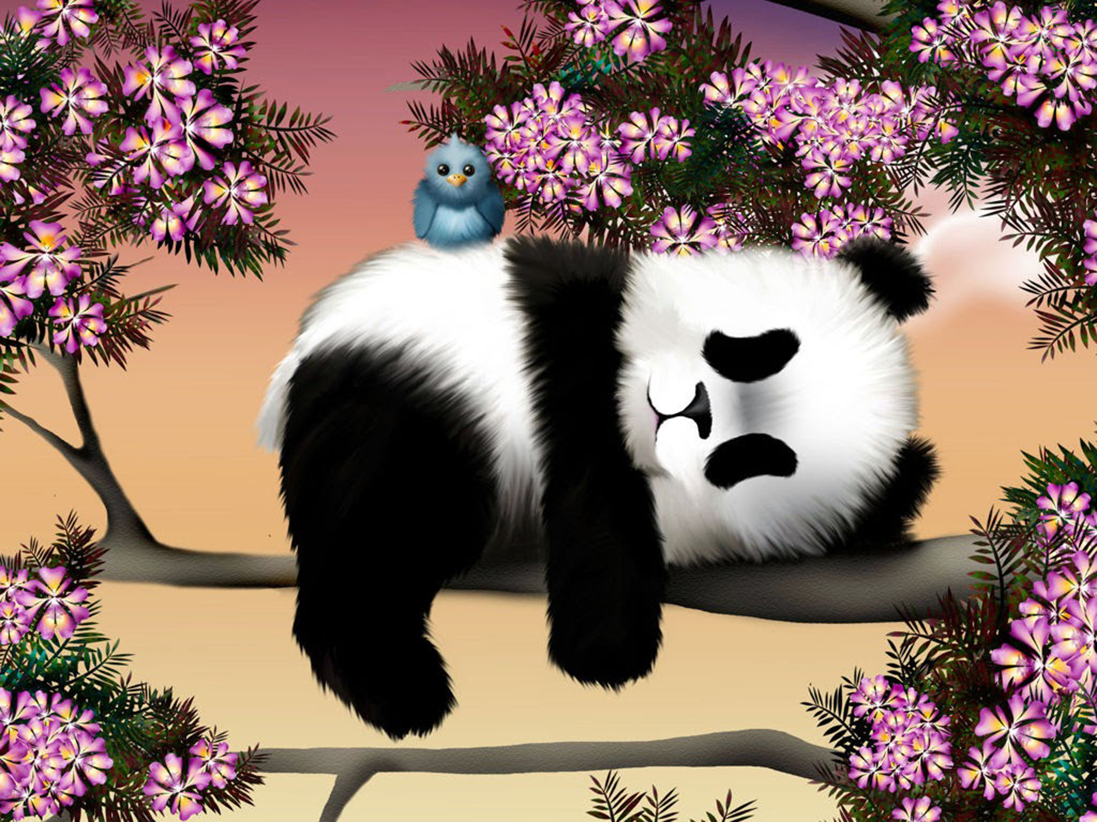 Ảnh nền gấu trúc Panda chibi