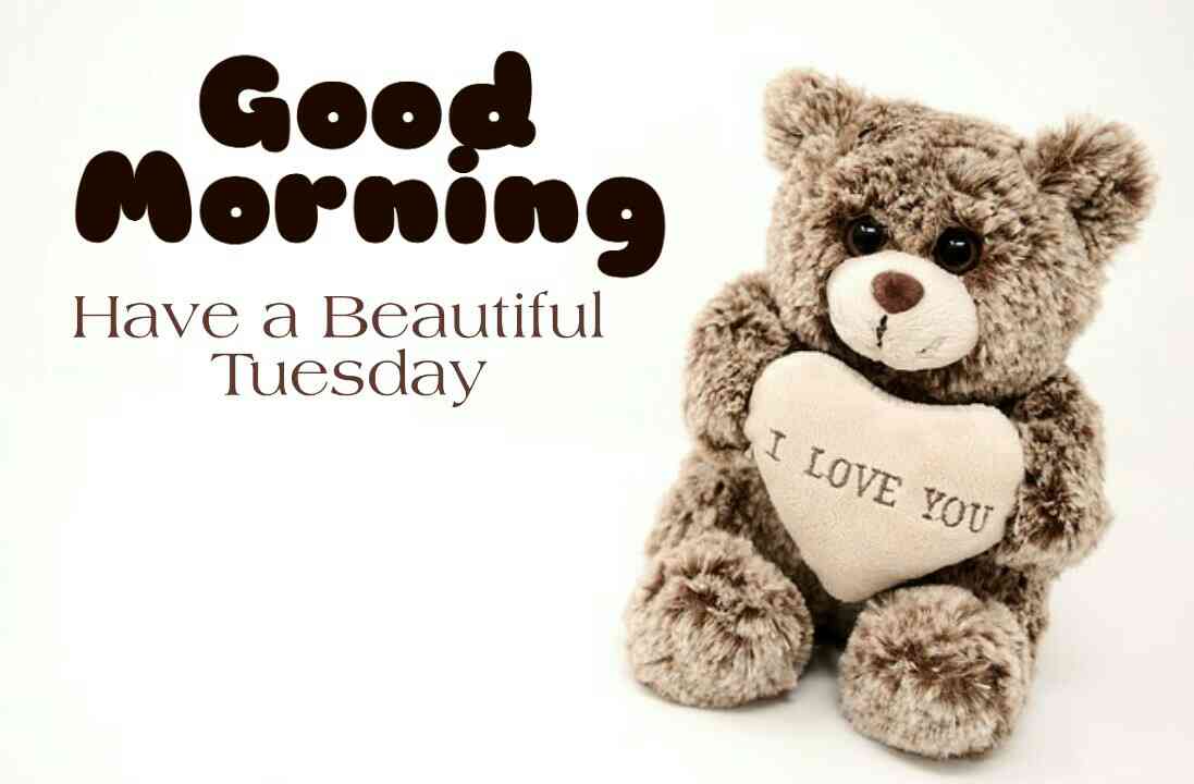 Good Moring - Have a Beautiful Tuesday