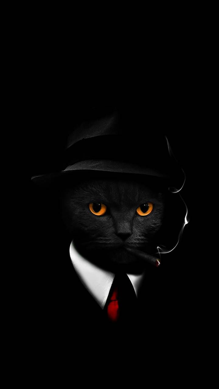 Hình hình họa mèo đen sạm treo kính ngầu