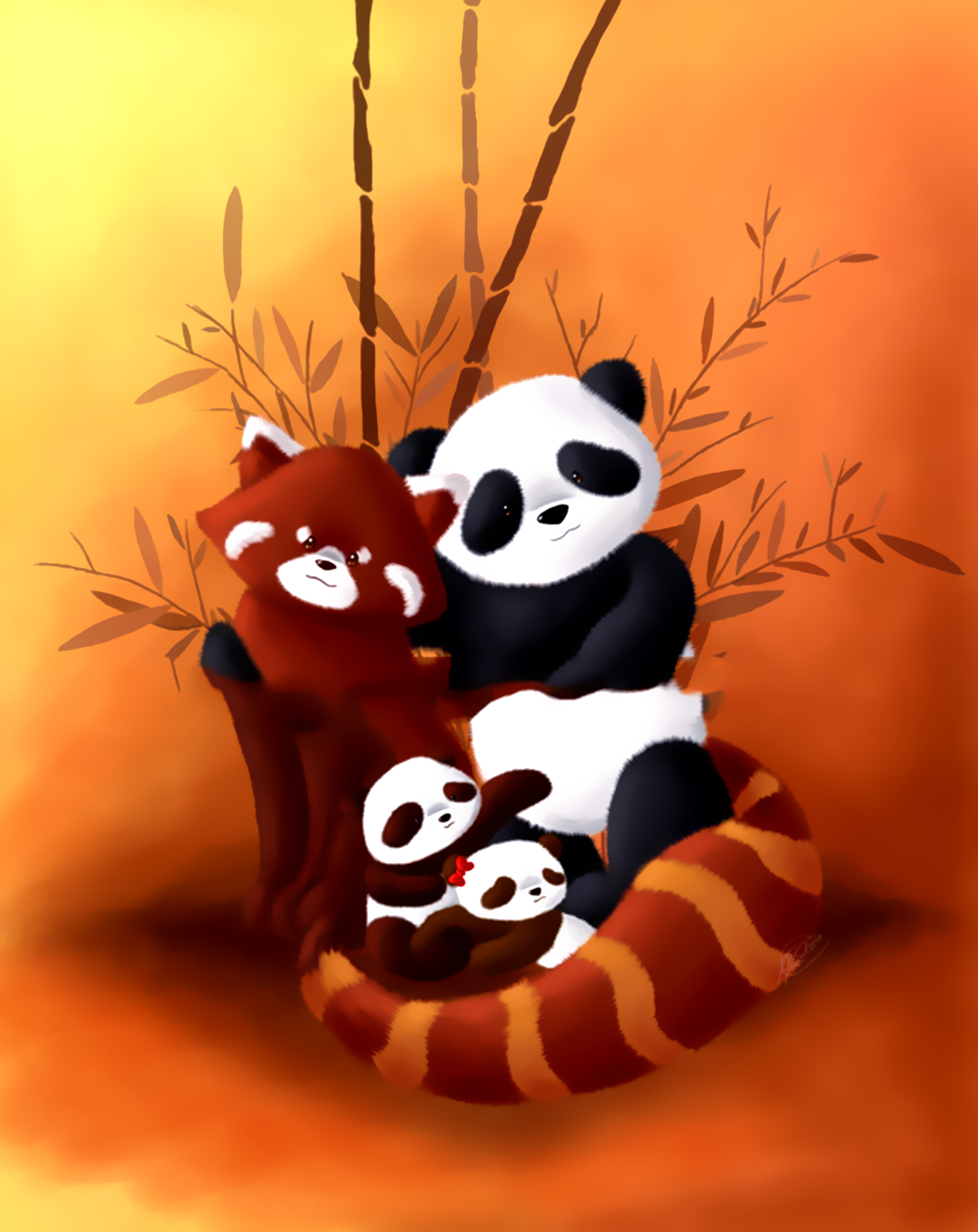 Hình nền gấu trúc Panda cute dễ thương nhất