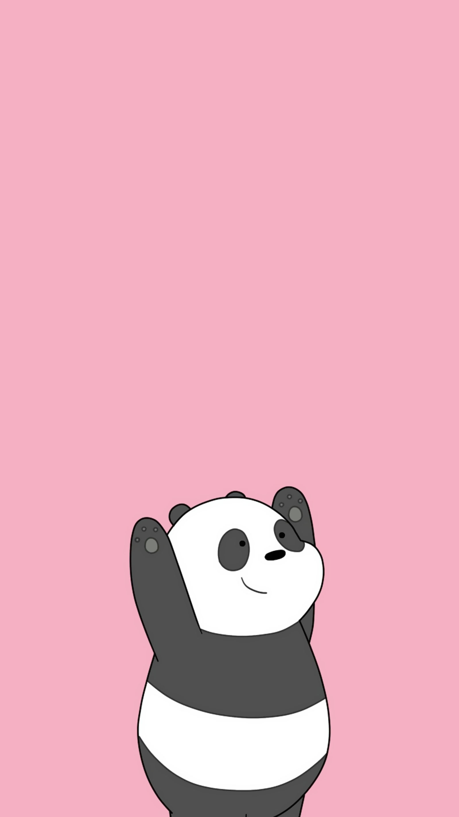 Hình nền panda Panda xinh đẹp dễ thương nhất