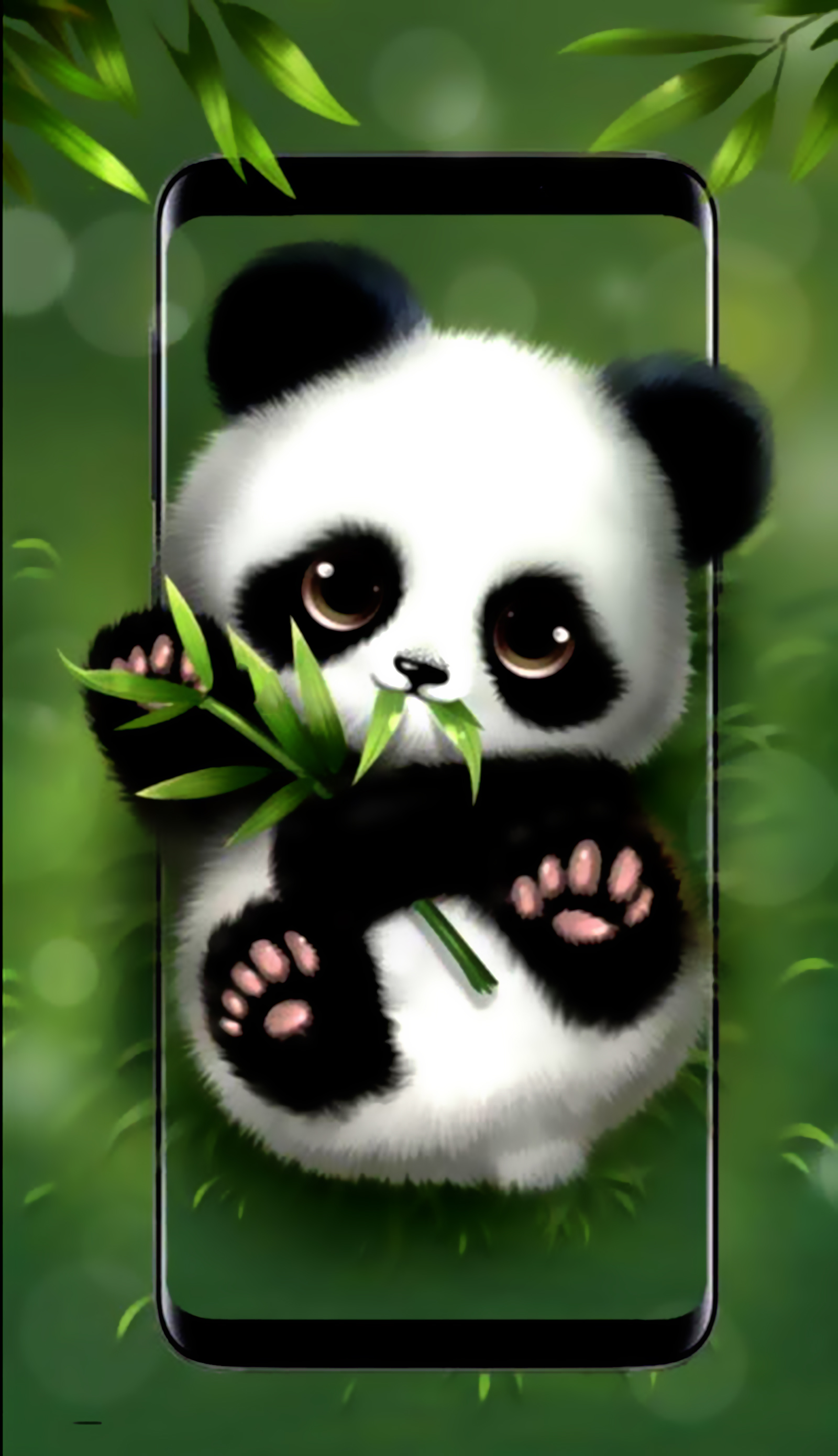 Hình nền gấu trúc Panda dễ thương và cute nhất