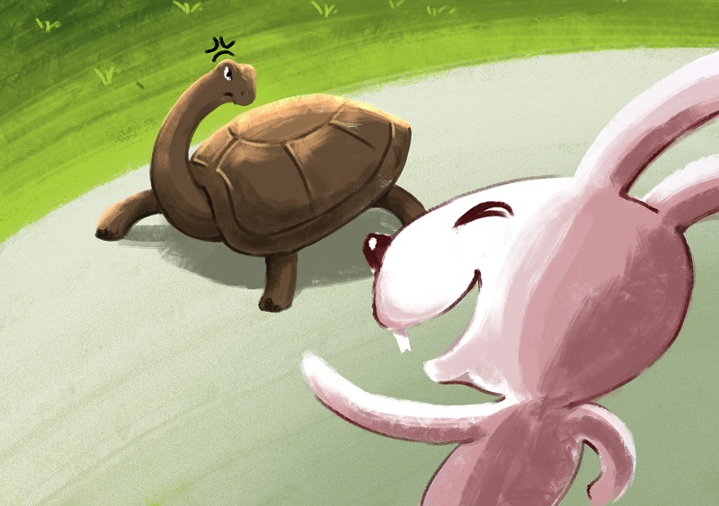 Một bức tranh của một con rùa và một con thỏ