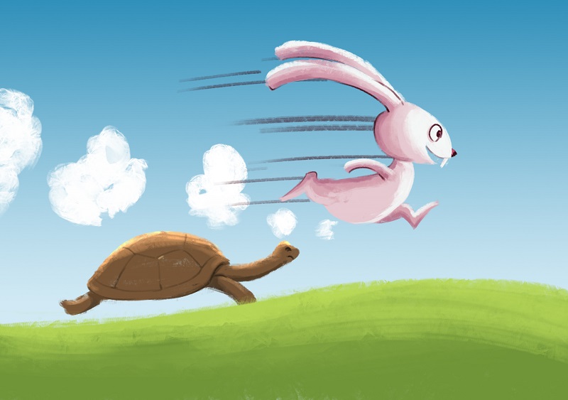 Rùa và thỏ chạy hình ảnh
