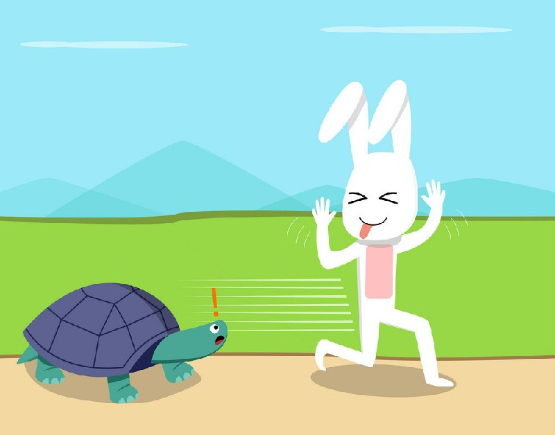 Con rùa và con thỏ đang chơi xung quanh