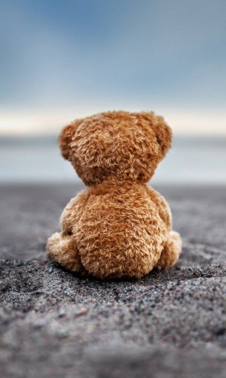 Hình hình họa con cái gấu buồn, cô đơn