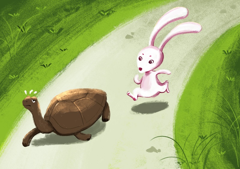 Hình ảnh con rùa và thỏ thi chạy