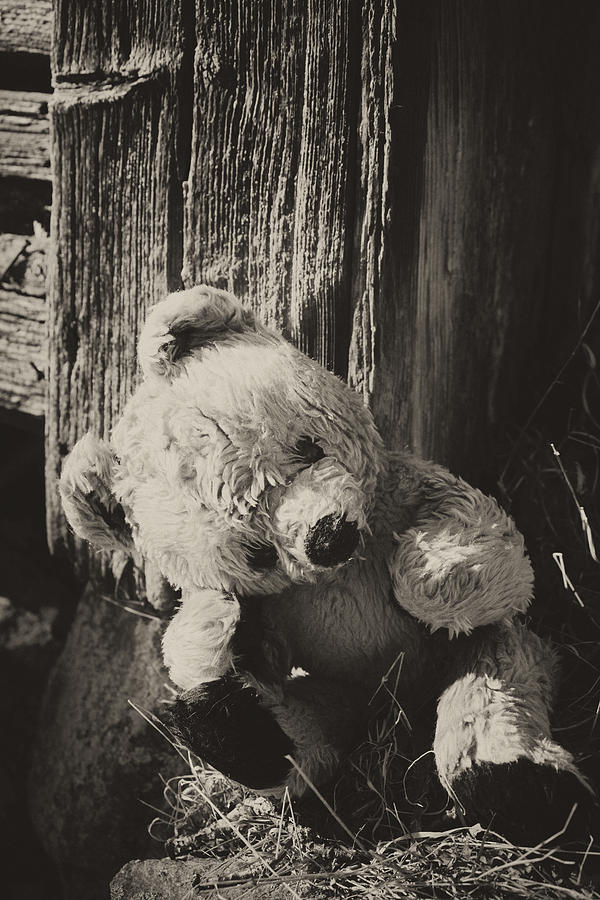 Hình ảnh chú gấu buồn đẹp