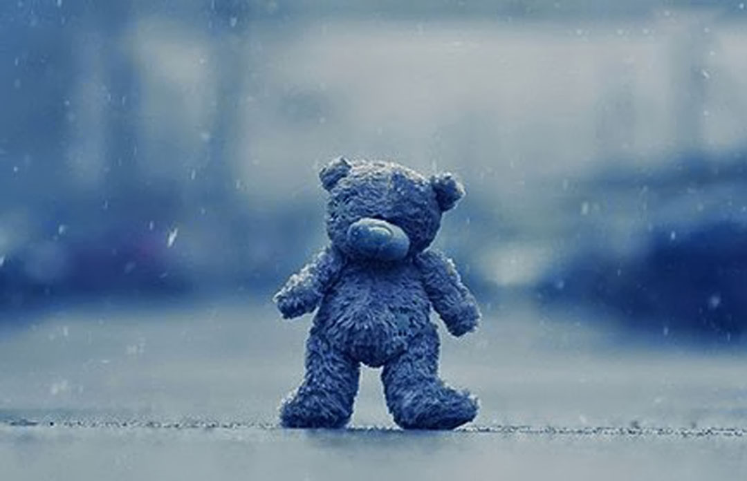 Hình ảnh một chú gấu buồn trong mưa