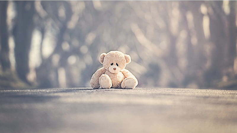 Hình ảnh chú gấu buồn cô đơn buồn bã