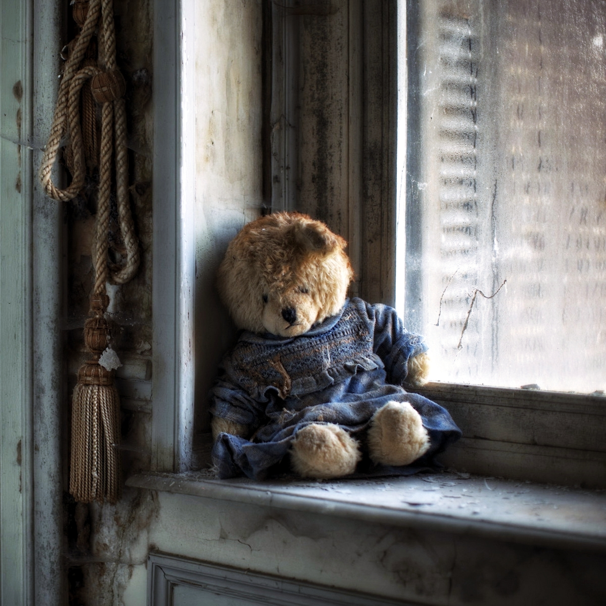 Một con gấu buồn bã, thất vọng, cô đơn