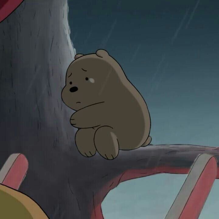 Hình ảnh một chú gấu buồn bã, thất vọng