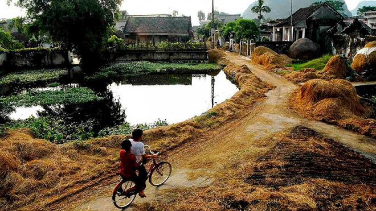 Ảnh làng quê Việt Nam đẹp