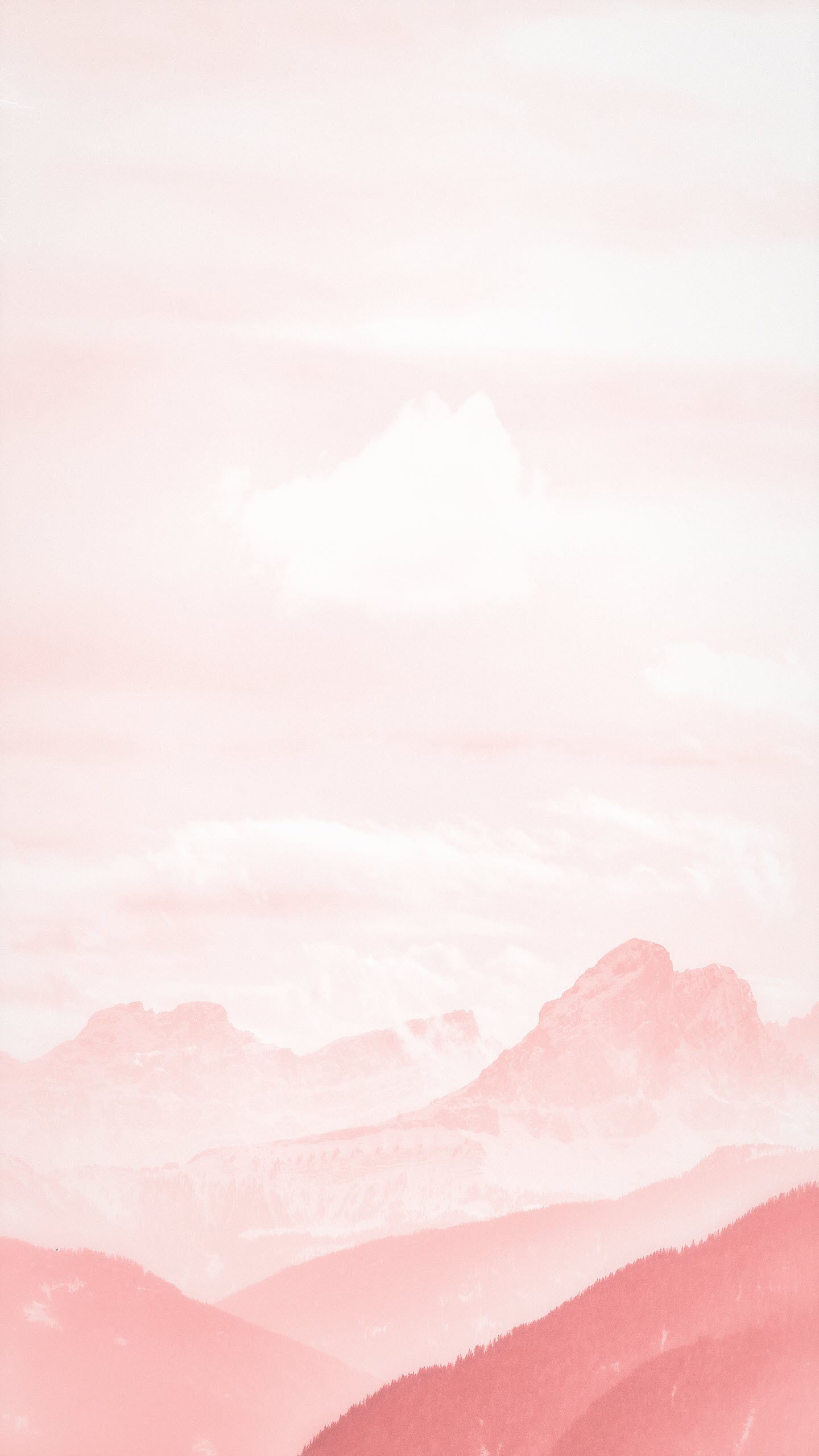 Hình nền màu hồng cute dễ thương nhất hình màu hồng 1 màu nhạt đậm 4K