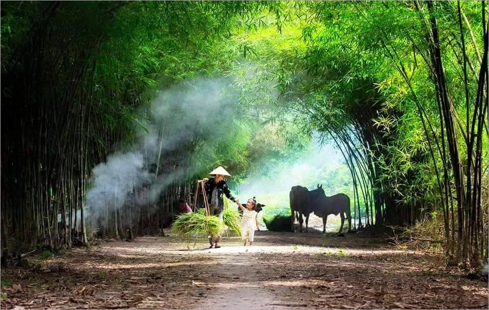 Hình ảnh làng quê Việt Nam thật mộc mạc
